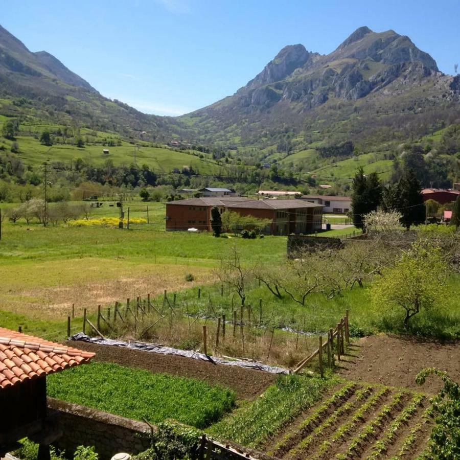 Tu Casita De La Senda Del Oso Villa Proaza Buitenkant foto